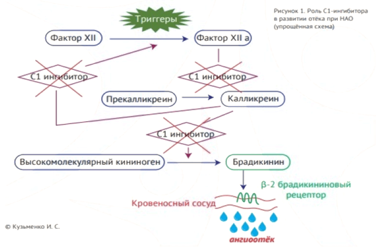 Что такое нао